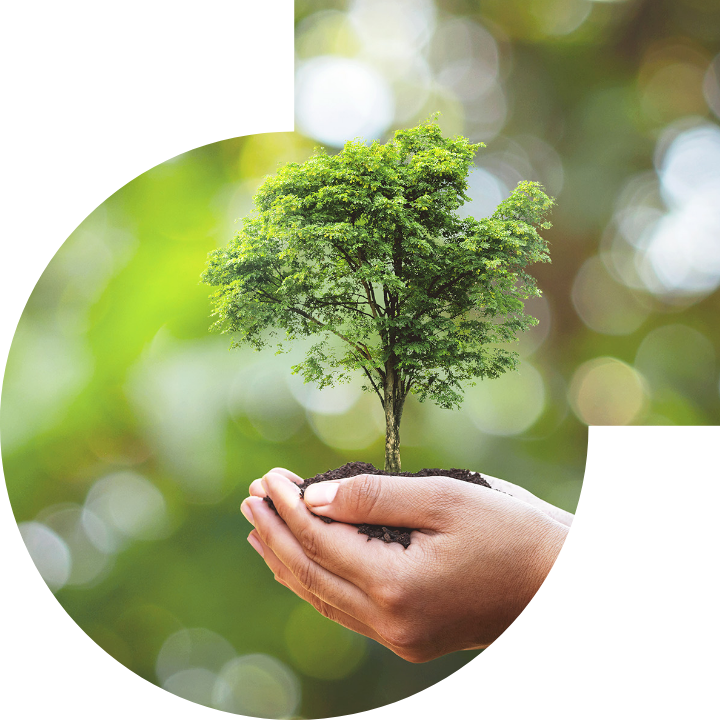 关怀人类、文化、环境与社会